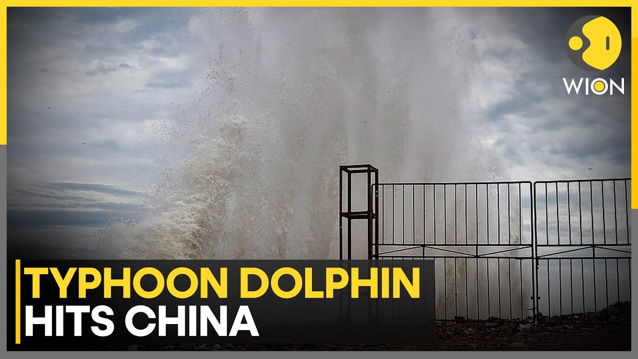 Typhoon Dolphin Hits China: Force 10 Winds Hit Fujian, 30,000 Given Aid | WION News