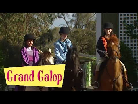 Grand Galop 204 - Une championne au Pin creux (Partie 2) | HD | Épisode Complet