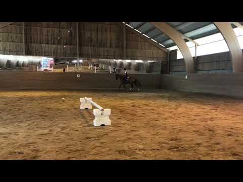 Godello (Goldfever - Dollar de la Pierre)