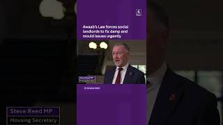 Channel 4 News report on Awaab's Law and social landlords