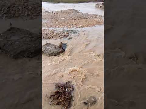 Comuna carpen judetul dolj paraul desnatui