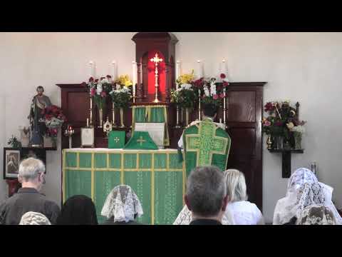 Traditional Latin Mass Sunday 18th October, 2020 at St Anne’s - St Luke the Evangelist