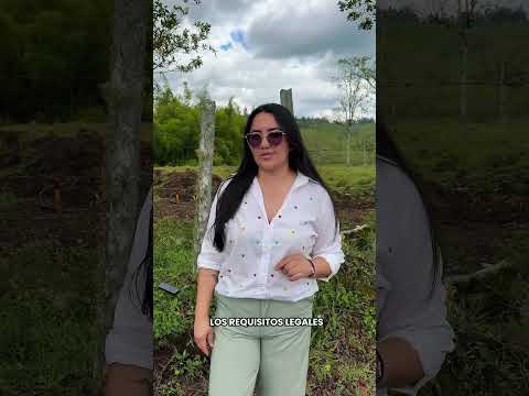 Antes de comprar, una parcela, lote o predio en Timbío infórmate.