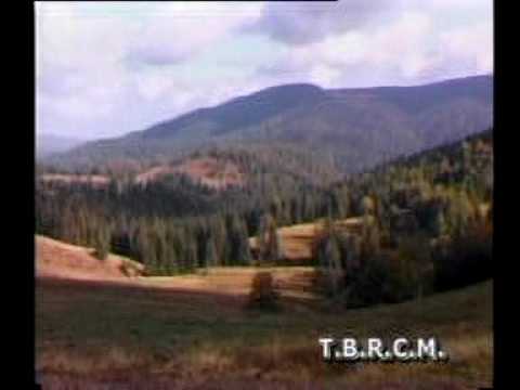 T.B.R.C.M. Hotel Ceres - Baile 1 Mai.avi