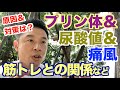 【#73】プリン体は本当に体に悪いのか?尿酸値、痛風と筋トレについてのお話です。
