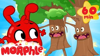 The Trees are Alive! - Morphle and Animi | Cartoons for Kids | Mila and Morphle TV
