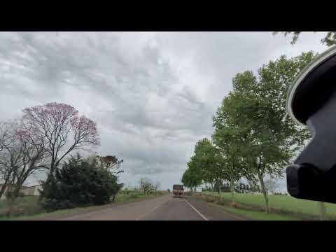 Boa Vista das Missões RS: Caminho dos Plátanos