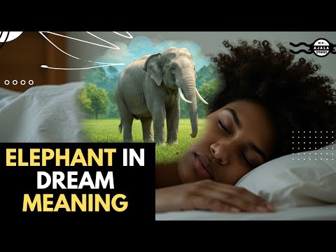 Elephant in Dream Meaning - Dream about Elephant - White Elephant Dream Biblical Meaning - Spiritual