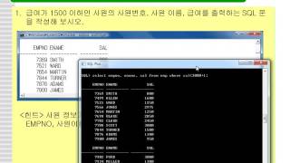 7강 oracle 11g SQL where query(오라클 SQL 조건연산자)