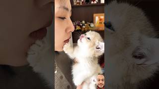 Download lagu Lucu comel😹Kucing Viral ￼#kitten #cute #catlover #cutecat #cat #cuteanimals #viral #shorts #lucu mp3