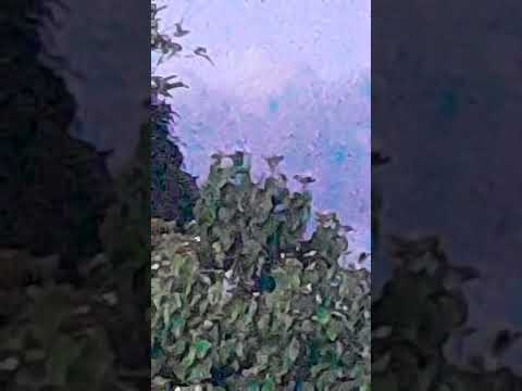 Ovni en El Socorro, Guarico, Venezuela