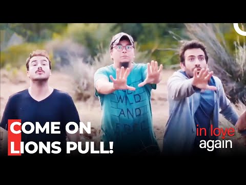 Operation Swamp - In Love Again