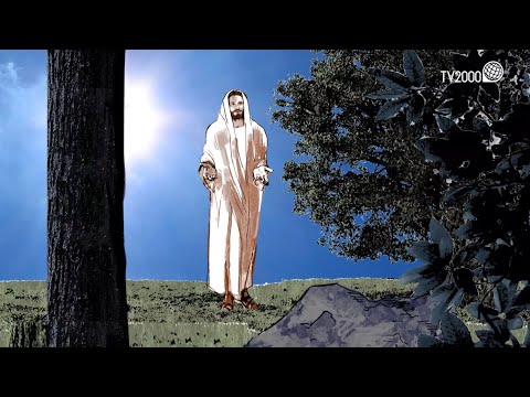 IV Domenica di Pasqua (Anno C) – Vangelo domenica 8 Maggio 2022