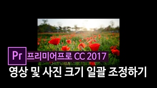 [프리미어프로 강좌] 영상 및 사진 크기 일괄 설정하기