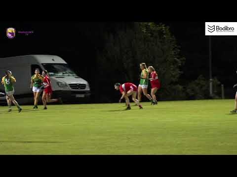 Wexford Ladies Football