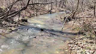 Download lagu After The Spring Rains 5 Minute Mother Nature Meditation mp3