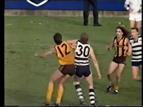 Hawthorn v Geelong AFL 2nd Semi Final thriller 1991