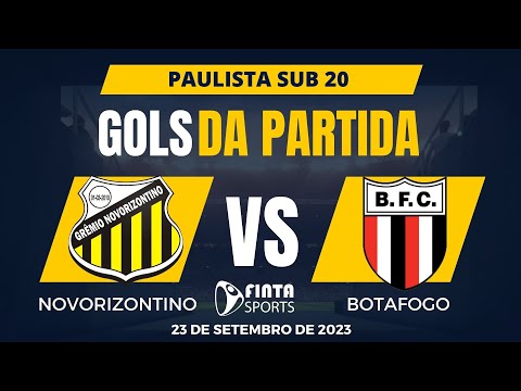 GOLS | NOVORIZONTINO 2 x 0 BOTAFOGO-SP | PAULISTA SUB 20