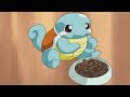 Pokemon Squirtle Being Cute With Max And May