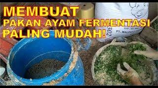 Download lagu Membuat pakan Fermentasi untuk ayam mp3