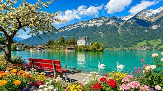 Iseltwald Switzerland🇨🇭Real Life Fairytale Swiss Village🏡 