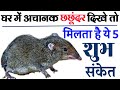 घर में अचानक छुछंदर दिखे तो बताता है न�