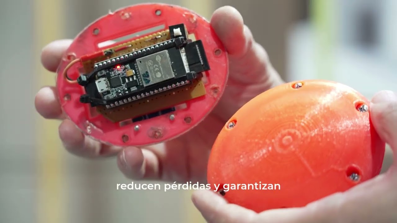 INTA Balcarce 80 años - Desarrollo de la papa en la zona