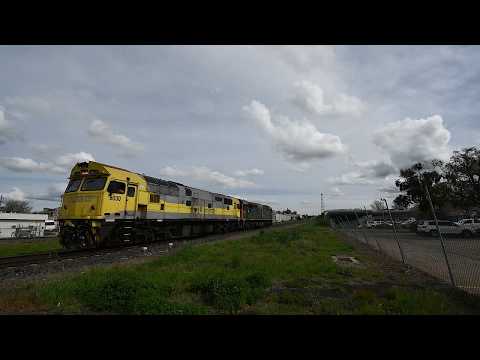 Qube Rail Trains with 80 classes and a Mz