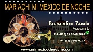 Son De La Negra, Mariachi México De Noche, Av Aztecas, Coyoacán DF.