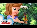 The Littlest Princess Sofia The First Disneyjr
