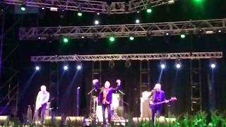 WHO DO YOU LOVE. DR. FEELGOOD. FESTIVAL DE LA LUZ. BOIMORTO