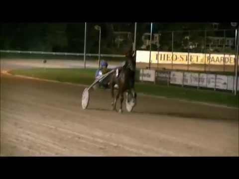 2011 Medemblik- prijs - Avenir C (Fred Handelaar) {handcam}