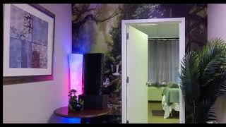 McGuire Therapeutic Wellness Spa Tour – Massage, Detox & Holistic Well