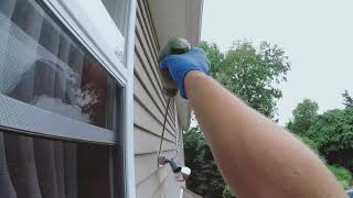 ALWAYS Do This to a YELLOW JACKETS NEST!!!