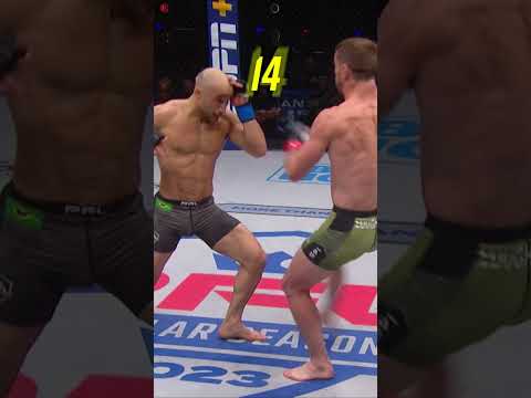 How many leg kicks does it take for a TKO? 🤔