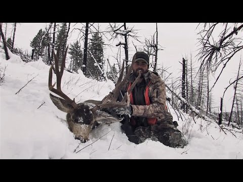 First Episode with Remi Warren on SOLO HNTR TV