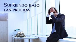 Sufriendo bajo las pruebas - Armando Alducin