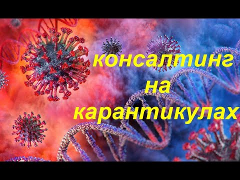 Элла Шайкинд: КОНСАЛТИНГ на КАРАНТИКУЛАХ? /#НОЖсловарь'