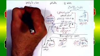 صورة 41 √ تأنيث الفعل