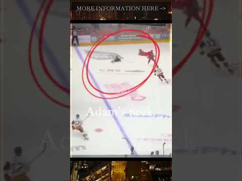 Hockey Player Dies in Game | #adamjohnson #neuralnarrative