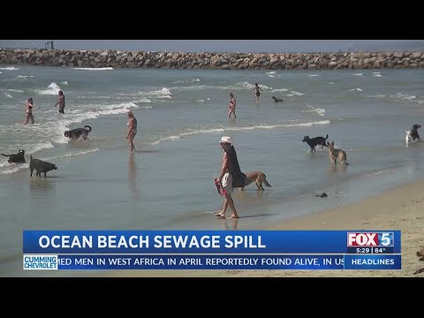 Sewage Spill Causes Issues In Ocean Beach