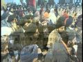 Aaye Mil Gursikh Full Song Amritsar Satgur Satwadi