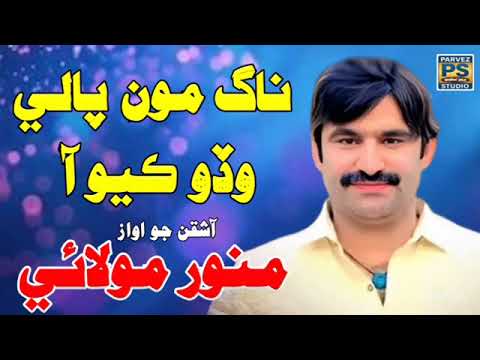 Nang Mo pale Wado Kiyo Aa | Munwar Molai | New 2025 Song