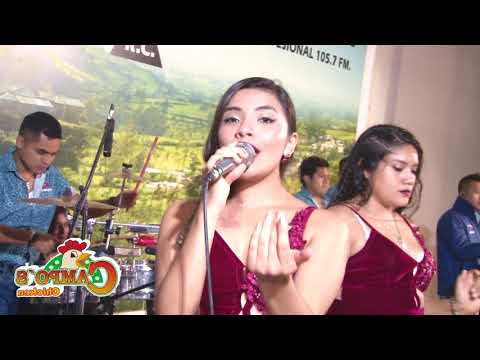 Deleites  andinos  - Mix dimension   - ( En vivo ) - Concierto