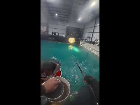 Leisure Fishing LIVE: Chatting While Casting Lines!