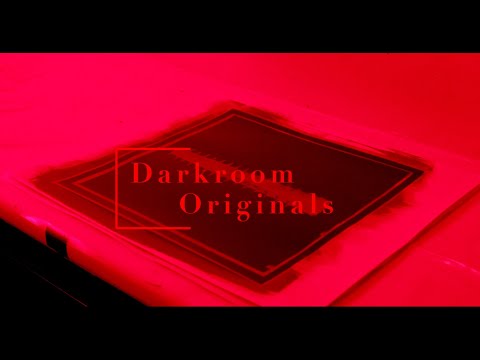 Hoe maak je een cyanotype of blauwdruk voor beginners? Darkroom Originals