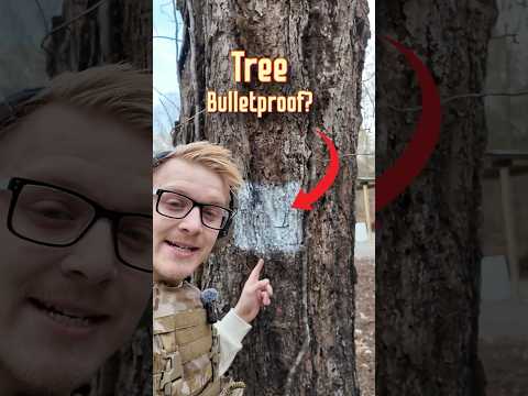 50 BMG Vs Tree (Bulletproof Test)
