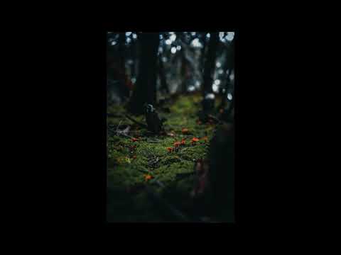 Terence Terry & Hanfry Martinez - Cornelius Is Gaye (Scott Kearon Remix)