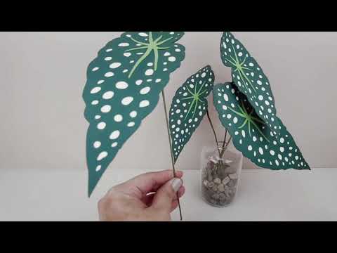 Begonia Polka Dot TUTORIAL