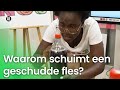 Kan je een geschudde fles openen zonder schuim?  | NOJ